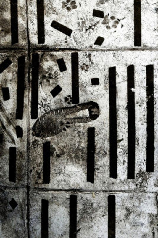 Footprints And Stripes