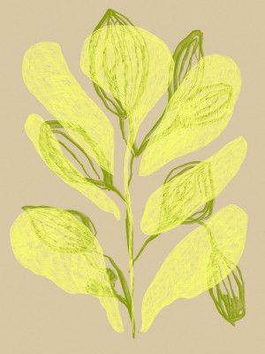 Luminous Leaves