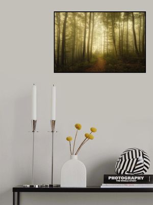 Charm of the ephemeral