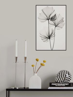 Transparent Botanic No 3