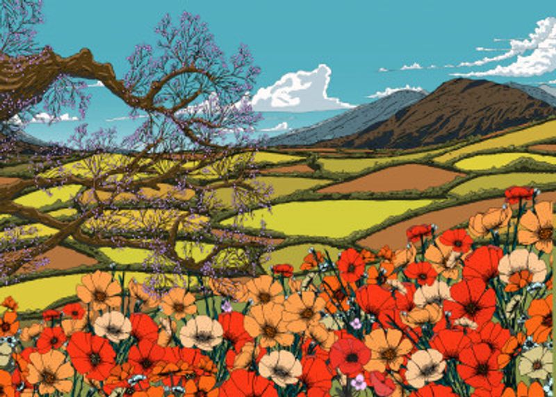 Wildflower Blossom Landscape