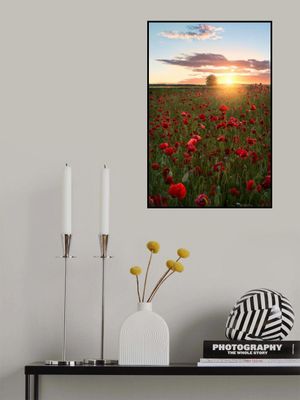 Poppy fields of Sweden