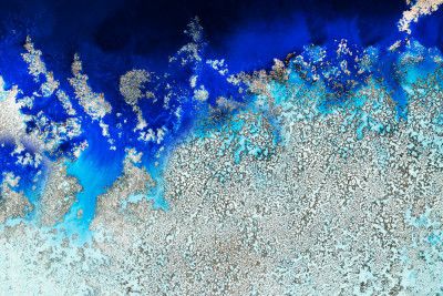 Aerial Ocean - Cosmic Coral