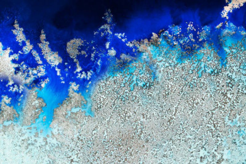 Aerial Ocean - Cosmic Coral