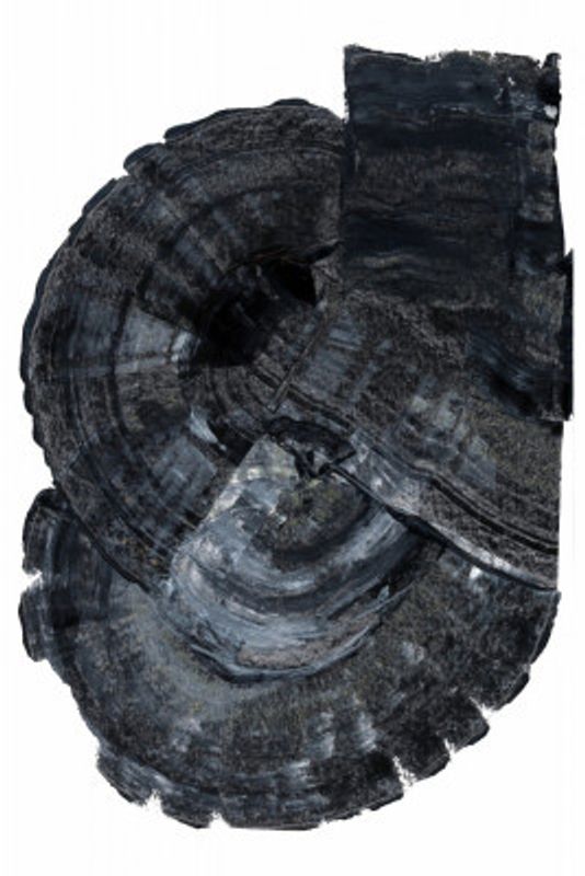 Black Fossil 1