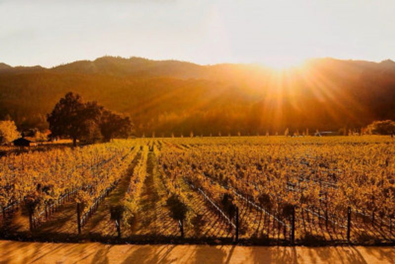 Napa Valley Sunset
