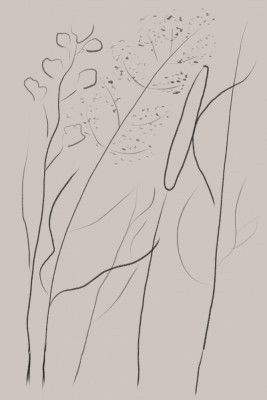 Modern Line art plant