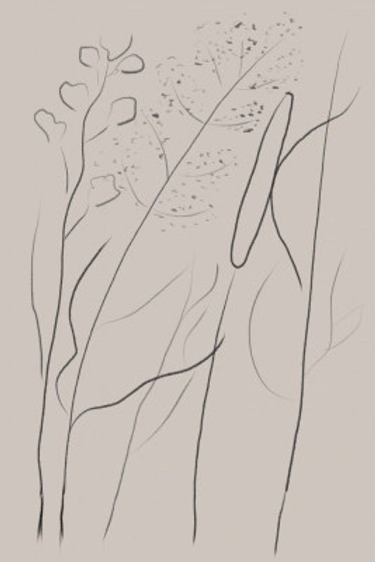 Modern Line art plant