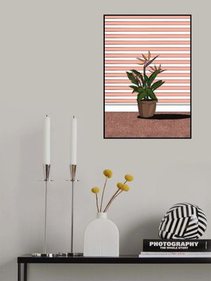 Bird Of Paradise Flower