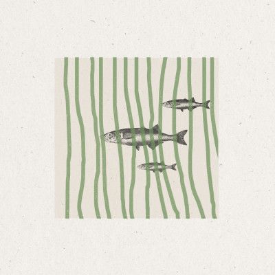 Fish in Striped Waves