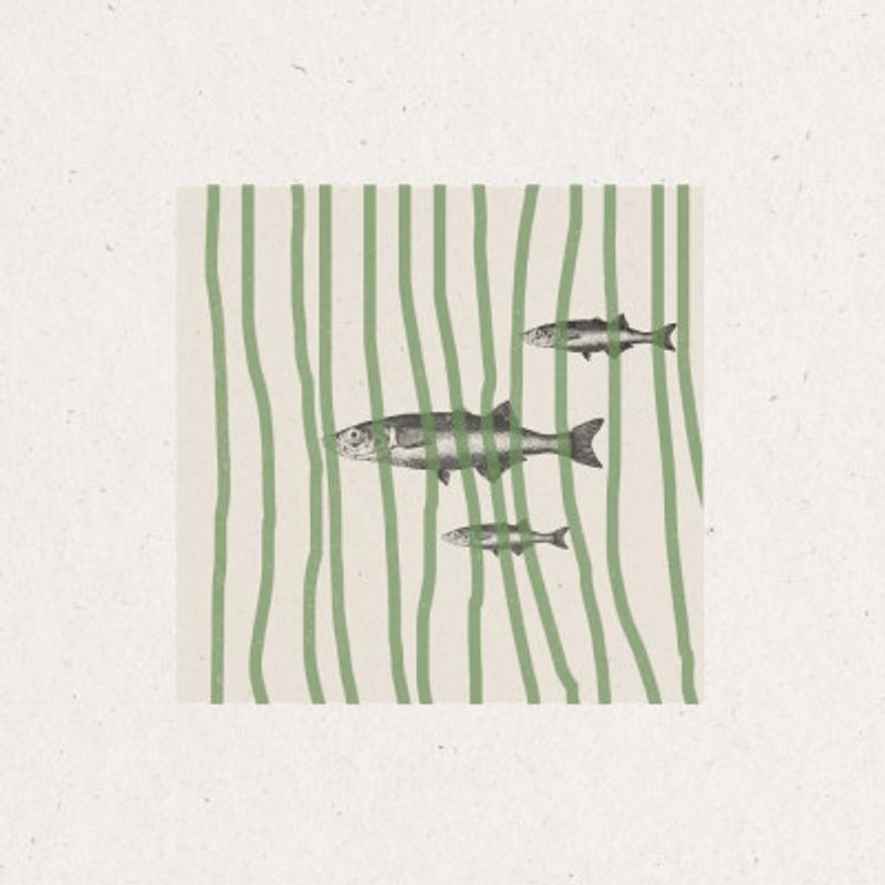 Fish in Striped Waves