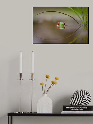 Beauty of Reflection