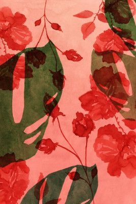 Monstera &amp; Hibiscus