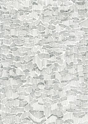 Reflections on Water Doodle