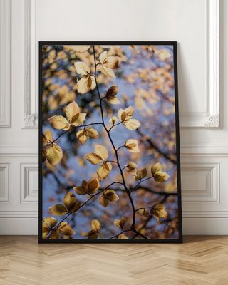 Golden Autumn Leaves