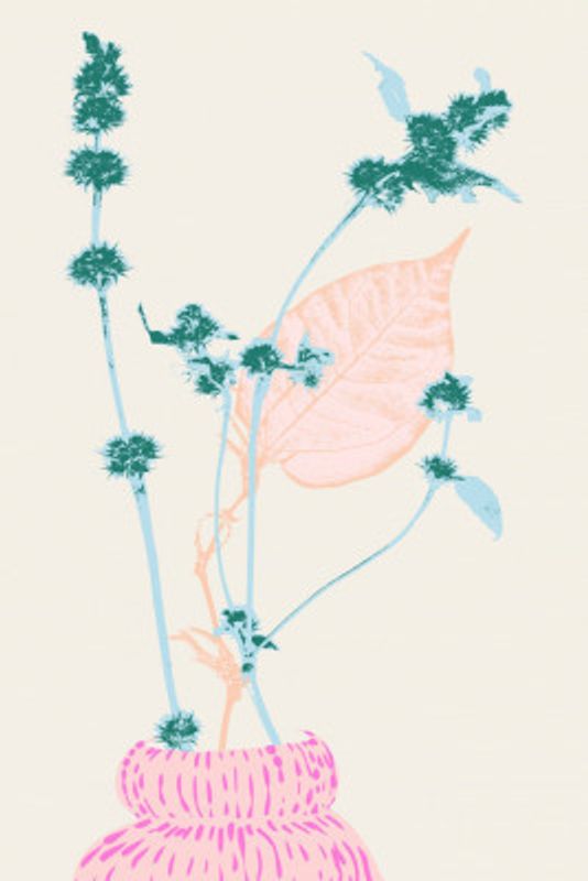 Plant based happyness Herb 1 still life