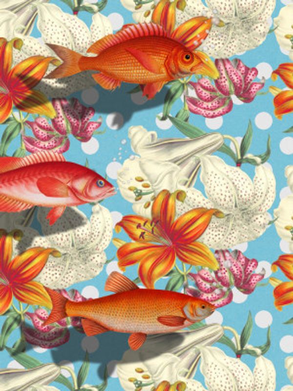 About Fish In Unexpected Places