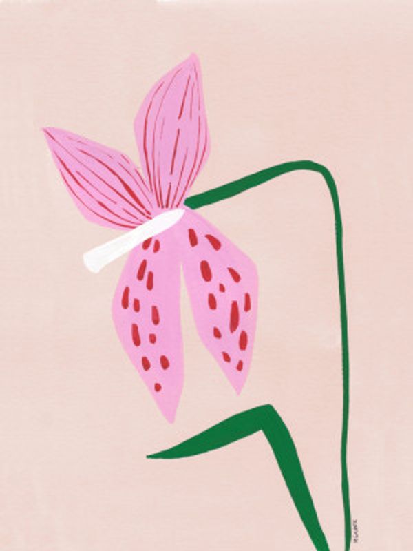 Stylized Pink Flower With Bold Green