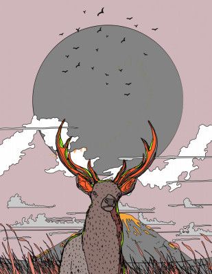 Whispers of the Wild