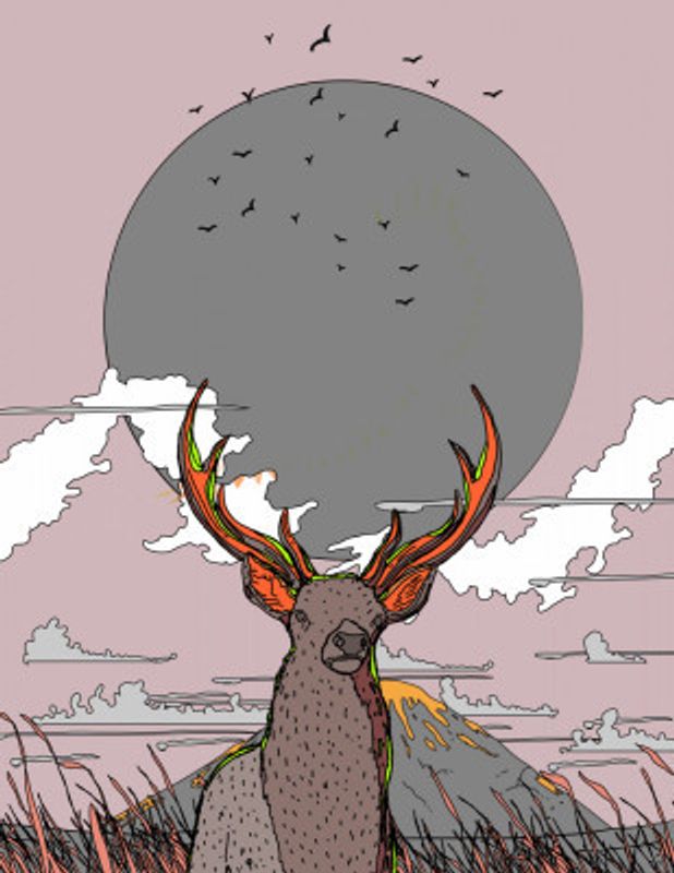 Whispers of the Wild