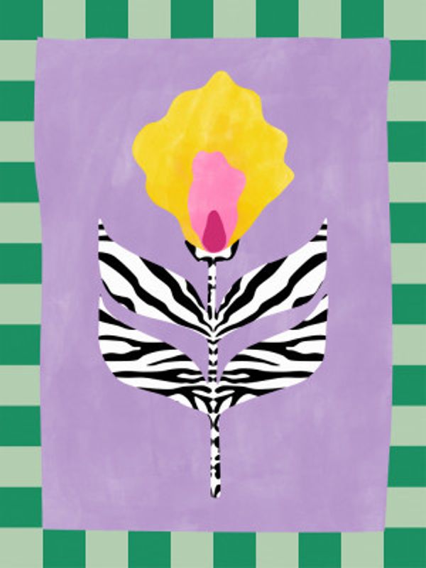 Flower with Zebra Patterned Leaves