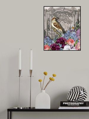 From the Cabinet of Curiosities