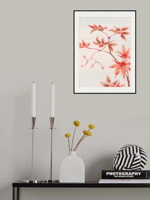 Branch of Momiji Maple Tree With Leaves and Seeds During 1870–1880