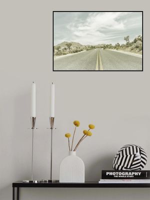 Vintage Joshua Trees, Park Boulevard