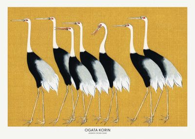 Japanese Red Crown Crane