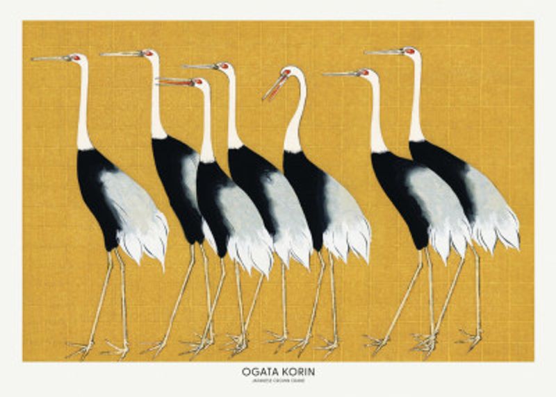 Japanese Red Crown Crane