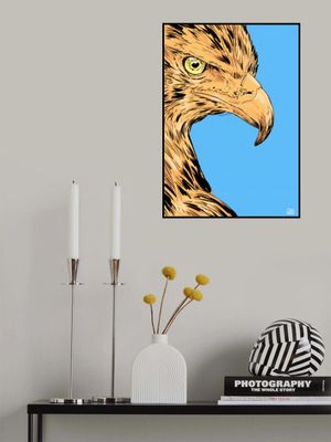 Eagle Eye Illustration