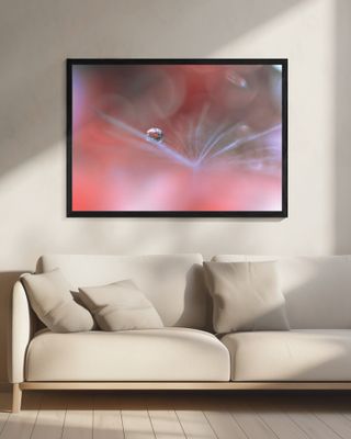 Alliance Of Light...II