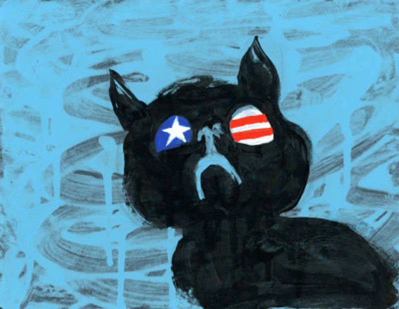 Black USA Cat