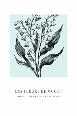 Lily of the Valley Flowers In A Monochrome Illustration