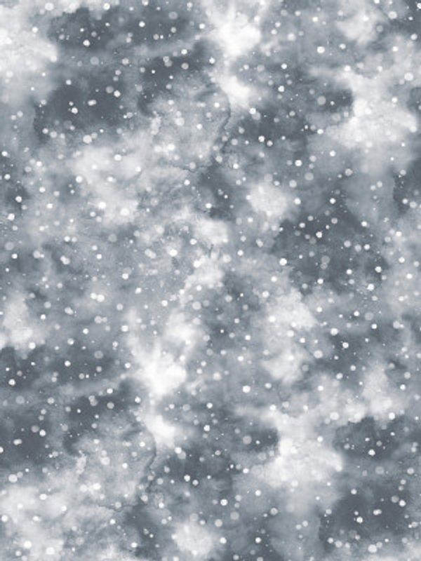 Winter Foggy Snow Gray