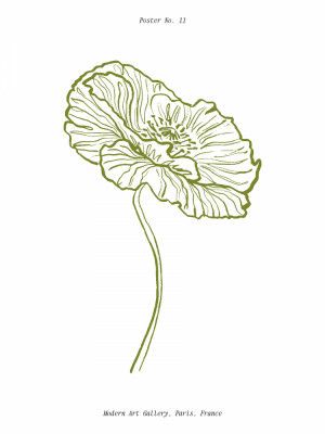 Pale Poppy Sketch