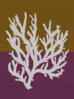 Coral Silhouette