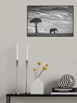 Elephant Landscape