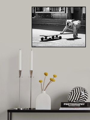 ... dogs just want to have fun ...