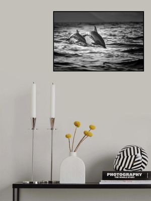 The Mother and the Baby