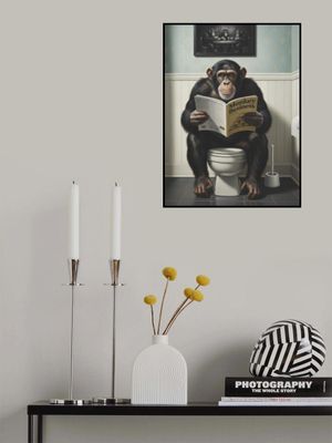 Chimpanzee In the Bathroom