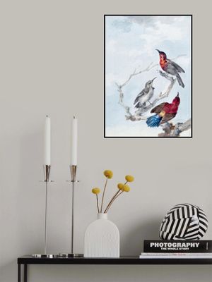 Three Crimson Sunbirds