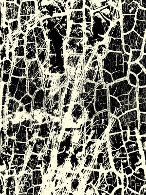 Black and White Crackle Texture