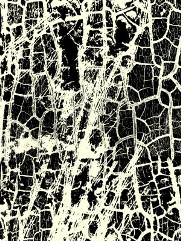 Black and White Crackle Texture
