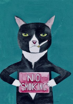 Smoking cat