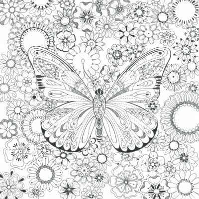 Butterfly and Flowers