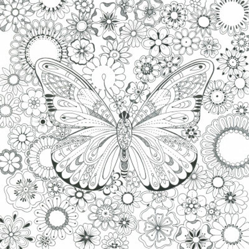 Butterfly and Flowers