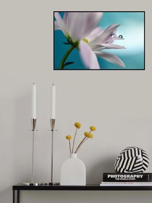 In turquoise Company