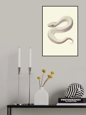 Snake Poster