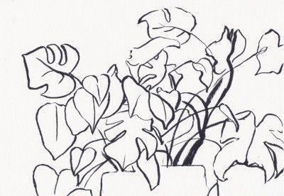 Black and White Monstera Large